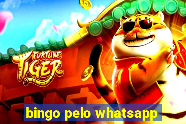 bingo pelo whatsapp